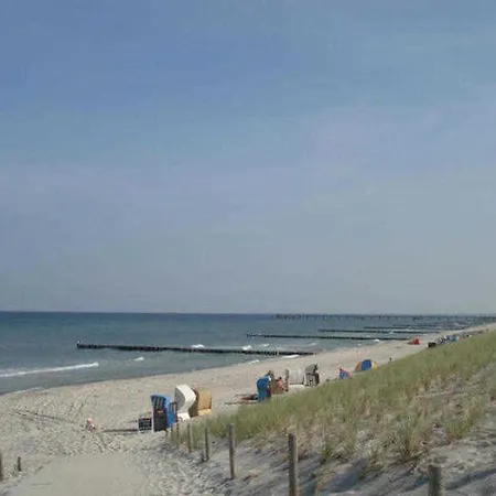 Ostseekrabbe 19 Graal-Mueritz