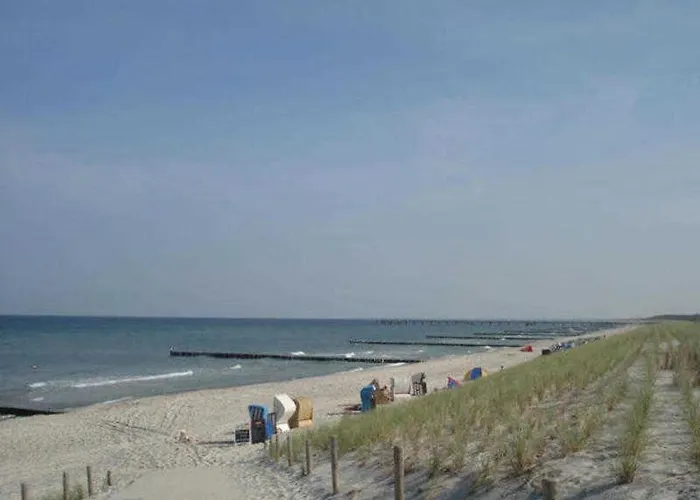 Ostseekrabbe 19 Graal-Mueritz