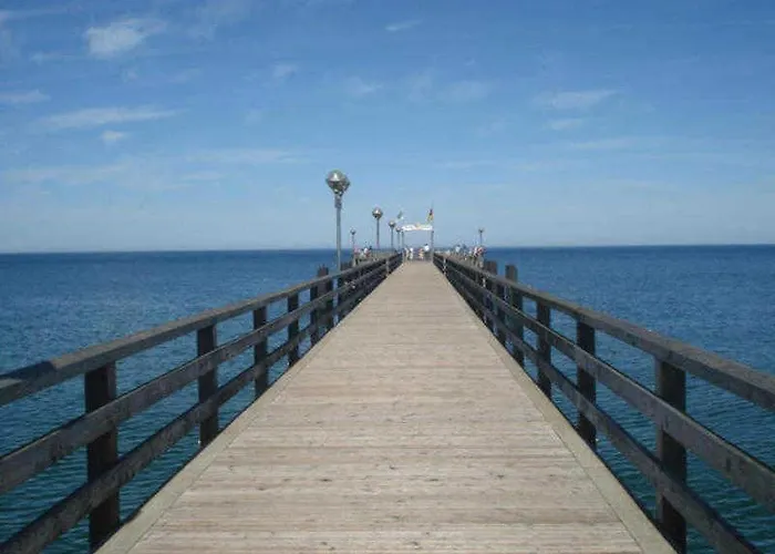 Ostseekrabbe 19 Graal-Mueritz